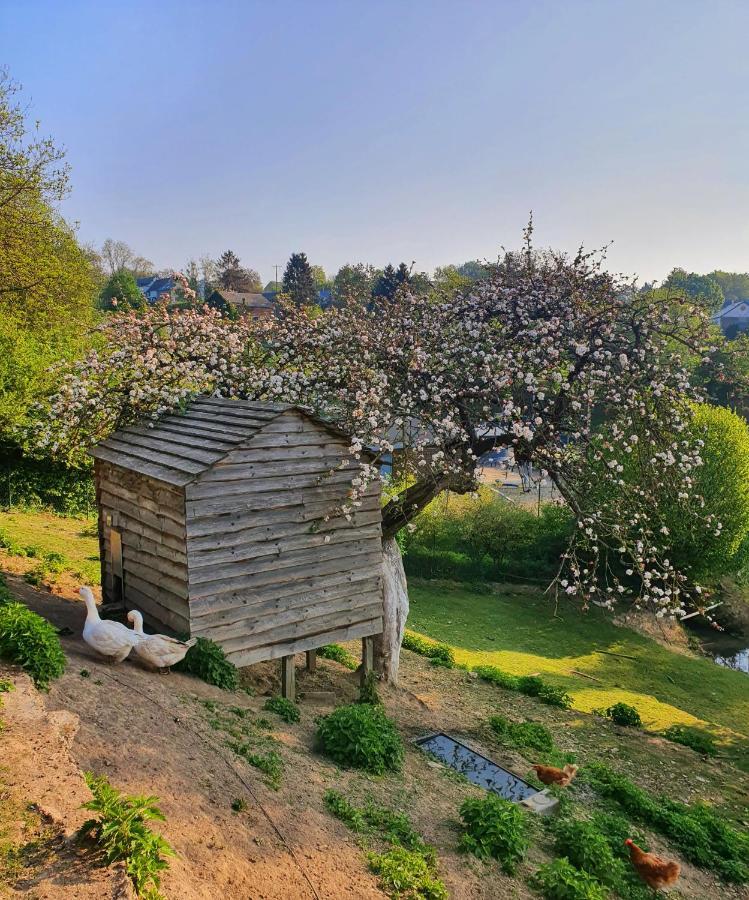 La Maison Du Sabotier Custinne Kültér fotó