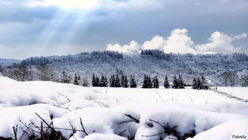 La Maison Du Sabotier Custinne Kültér fotó