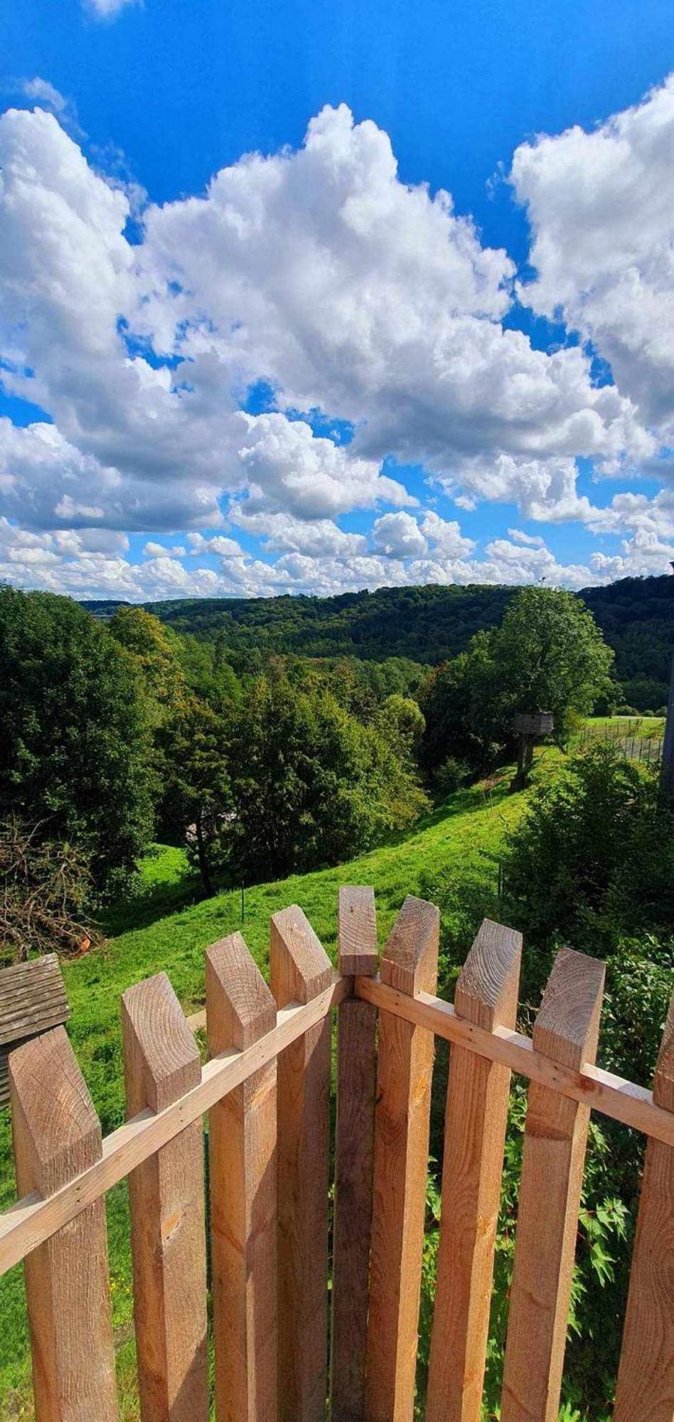 La Maison Du Sabotier Custinne Kültér fotó