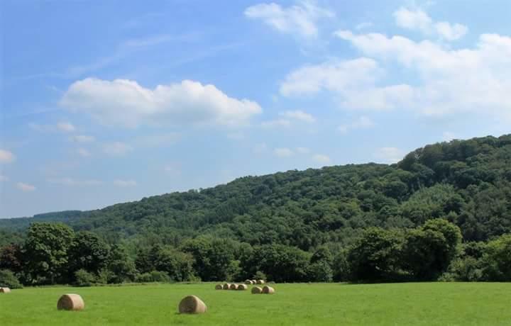 La Maison Du Sabotier Custinne Kültér fotó