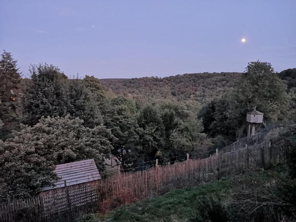 La Maison Du Sabotier Custinne Kültér fotó